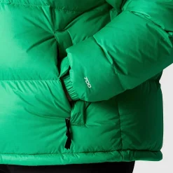 Discount The North Face 1996 Retro Nuptse Jakke I Store Størrelser Til Damer Optic Emerald