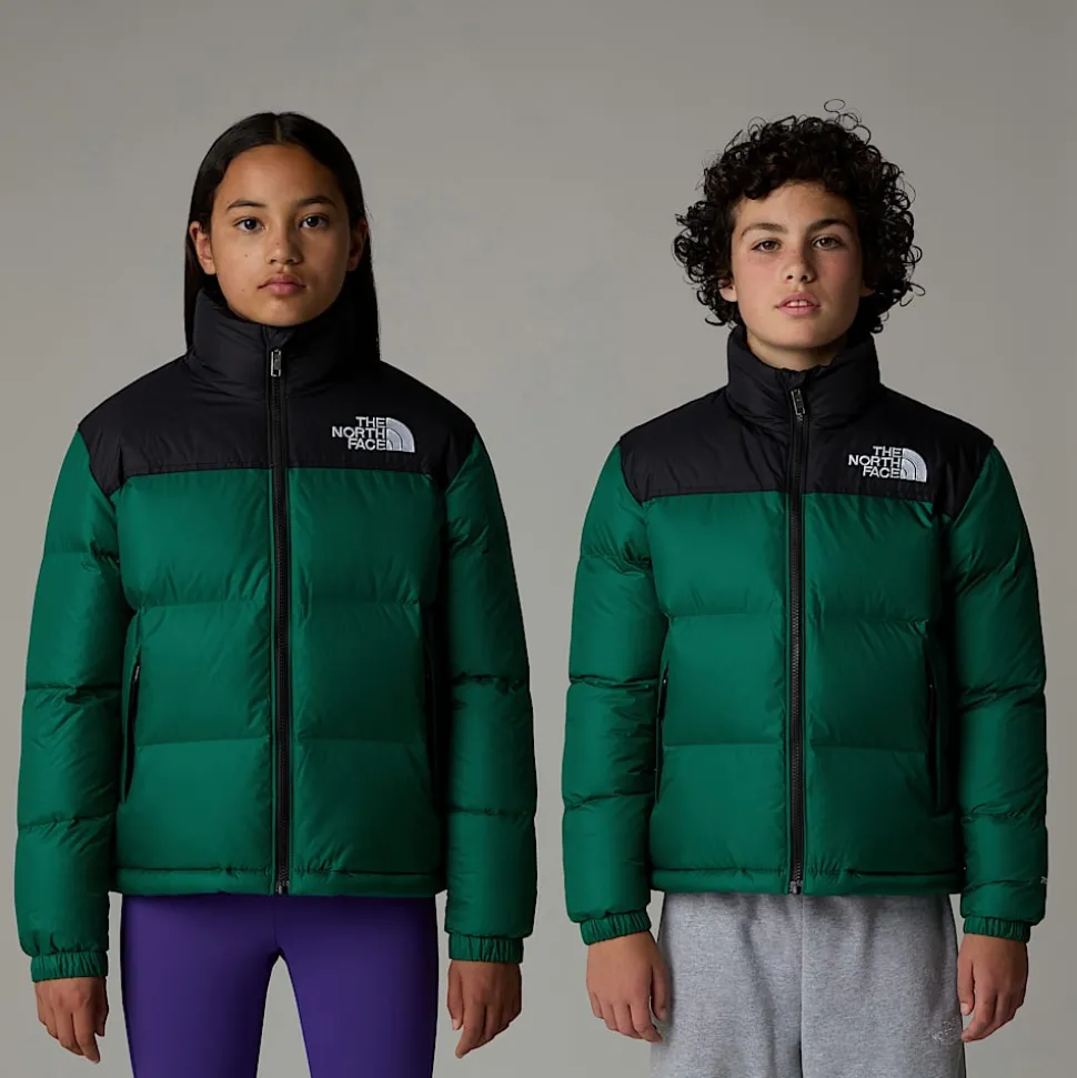 Shop The North Face 1996 Retro Nuptse Jakke Til Unge Evergreen