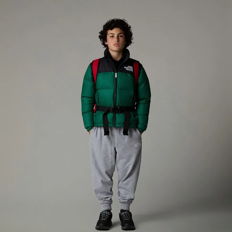 Shop The North Face 1996 Retro Nuptse Jakke Til Unge Evergreen
