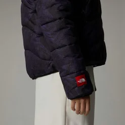 Fashion The North Face 2000 Synthetic Dynejakke Til Damer Peak Purple 3D Summit Mesh Print