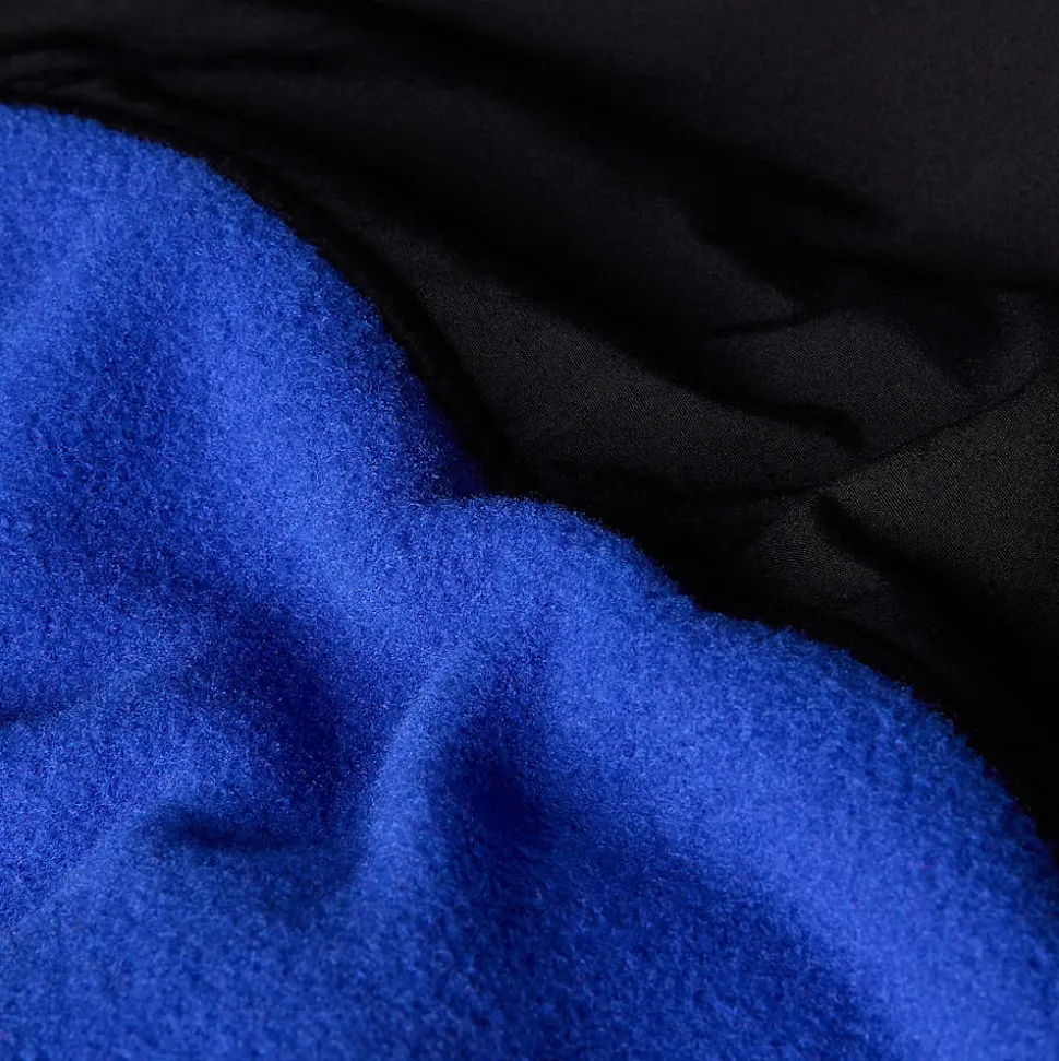 Flash Sale The North Face Alpine Polartec® Fleece 200 Jakke Til Herrer TNF Blue-TNF Black