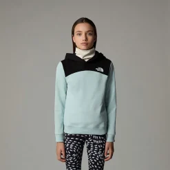 Shop The North Face Back Logo Relaxed Hættetrøje Til Piger Muted Pine