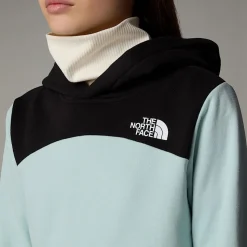 Shop The North Face Back Logo Relaxed Hættetrøje Til Piger Muted Pine