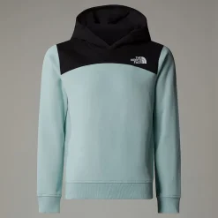 Shop The North Face Back Logo Relaxed Hættetrøje Til Piger Muted Pine