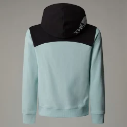 Shop The North Face Back Logo Relaxed Hættetrøje Til Piger Muted Pine