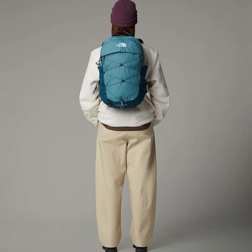 Sale The North Face Borealis Rygsæk Til Damer Algae Blue-Midnight Petrol