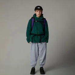New The North Face Campshire Hættetrøje Med Lynlås Til Unge Evergreen