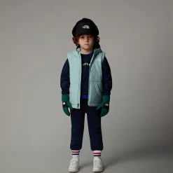 Clearance The North Face Circular Vest Med Hætte Til Børn Muted Pine