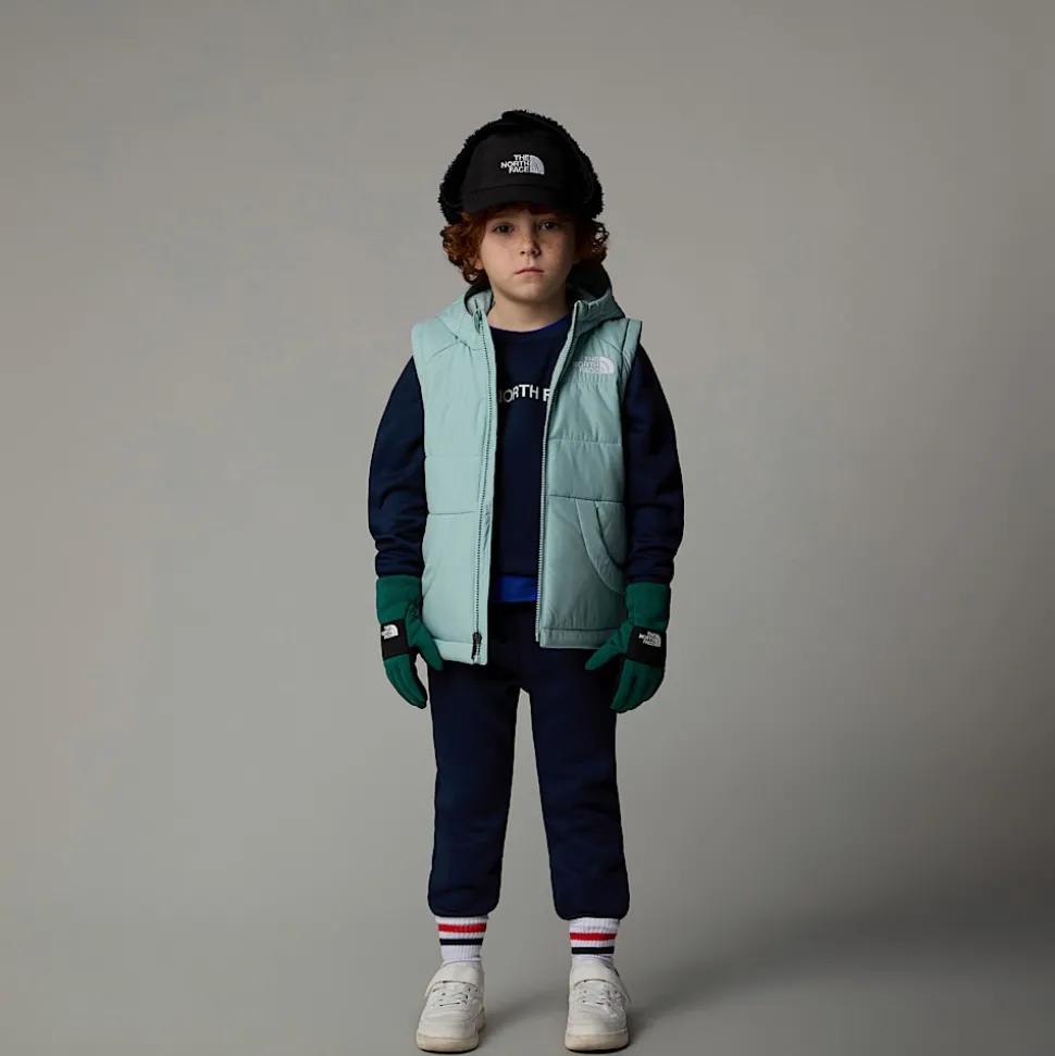 Clearance The North Face Circular Vest Med Hætte Til Børn Muted Pine
