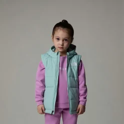 Clearance The North Face Circular Vest Med Hætte Til Børn Muted Pine