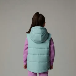 Clearance The North Face Circular Vest Med Hætte Til Børn Muted Pine