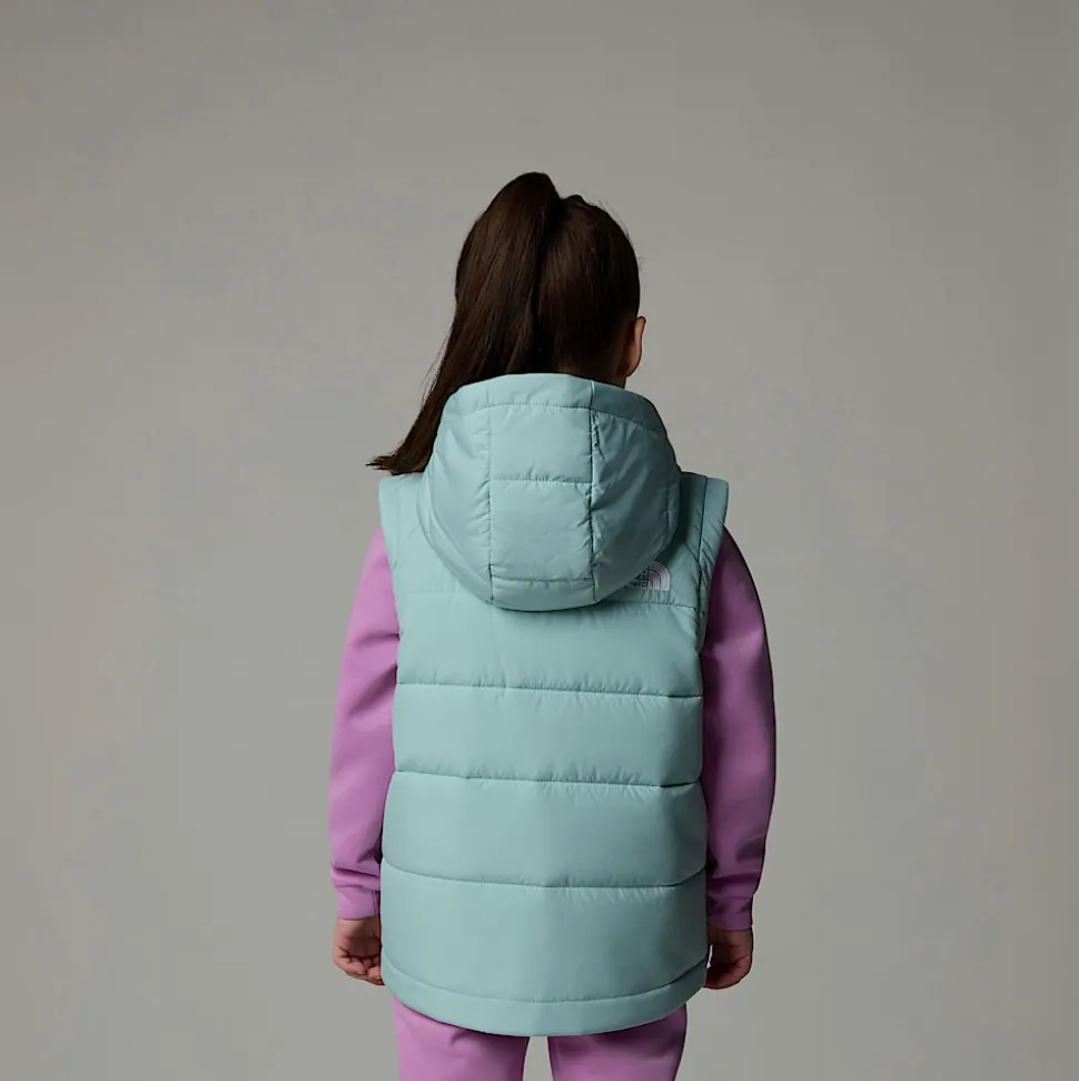 Clearance The North Face Circular Vest Med Hætte Til Børn Muted Pine