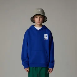 Clearance The North Face Coordinates Oversized Graphic Hættetrøje Til Drenge TNF Blue