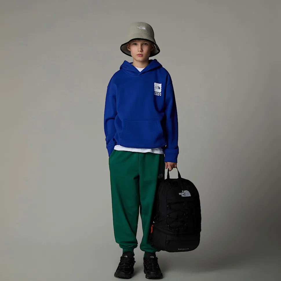 Clearance The North Face Coordinates Oversized Graphic Hættetrøje Til Drenge TNF Blue