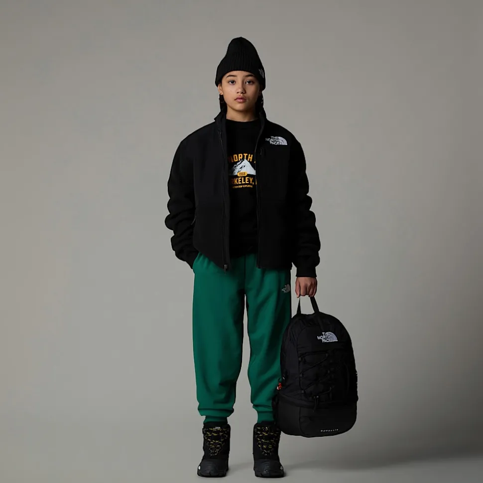 Best Sale The North Face Denali Jakke Til Unge TNF Black
