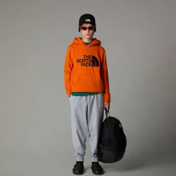 Cheap The North Face Drew Peak Hættetrøje Til Drenge TNF Orange