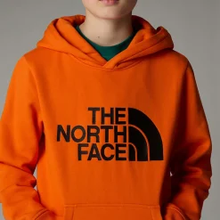 Cheap The North Face Drew Peak Hættetrøje Til Drenge TNF Orange