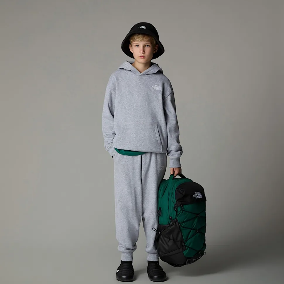 Store The North Face Essential Oversized Hættetrøje Til Unge TNF Light Grey Heather