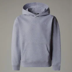 Store The North Face Essential Oversized Hættetrøje Til Unge TNF Light Grey Heather