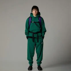 New The North Face Essential Oversized Hættetrøje Til Unge Evergreen