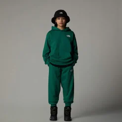 New The North Face Essential Oversized Hættetrøje Til Unge Evergreen