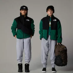 Flash Sale The North Face Essential Oversized Joggingbukser Til Unge TNF Light Grey Heather