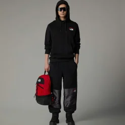 Online The North Face Expedition System Graphic Hættetrøje Til Herrer TNF Black