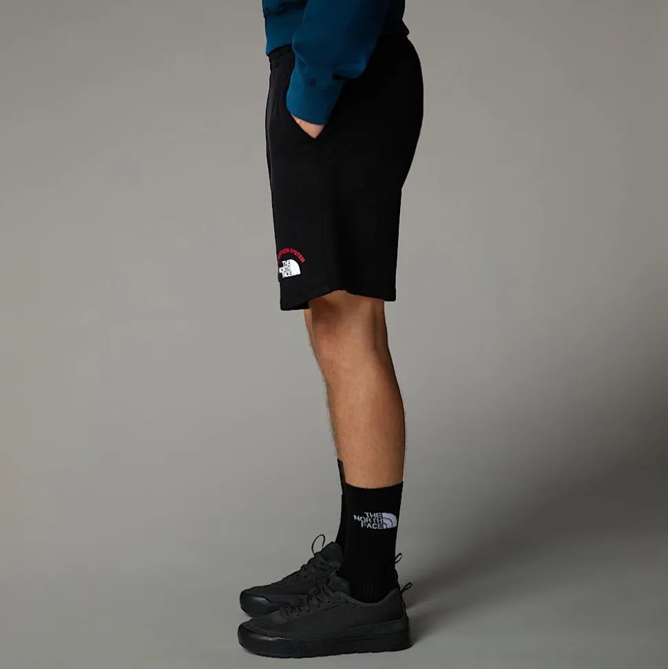 Clearance The North Face Expedition System Graphic Shorts Til Herrer TNF Black