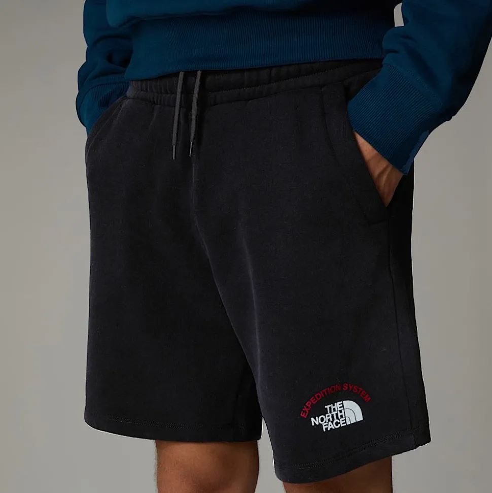 Clearance The North Face Expedition System Graphic Shorts Til Herrer TNF Black