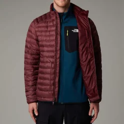Clearance The North Face Huila Jakke Med Syntetisk Isolering Til Herrer Alpine Plum