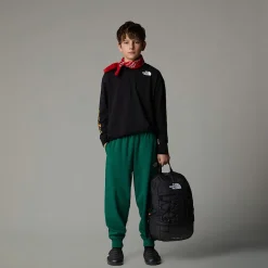 Cheap The North Face Langærmet Varsity Graphic Oversized T-shirt Til Unge TNF Black