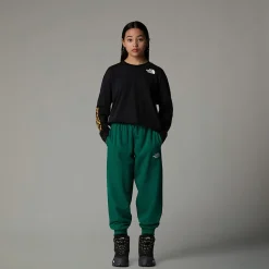 Cheap The North Face Langærmet Varsity Graphic Oversized T-shirt Til Unge TNF Black