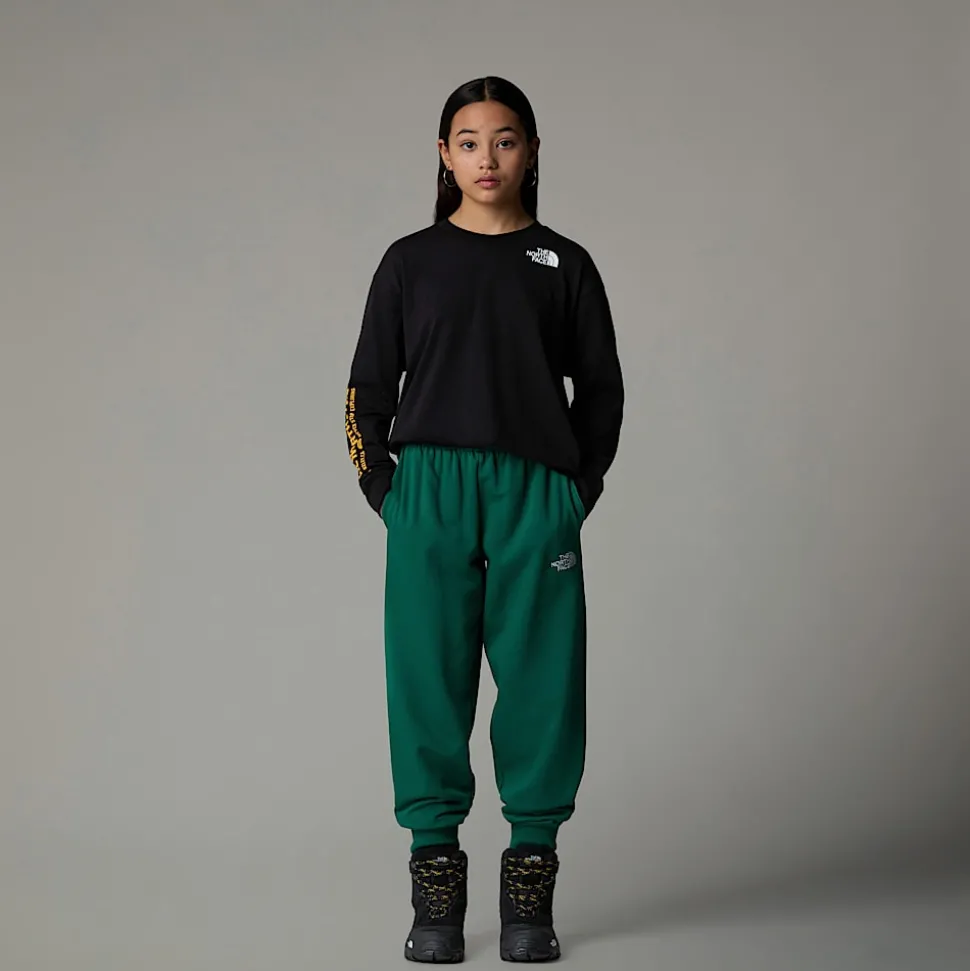 Cheap The North Face Langærmet Varsity Graphic Oversized T-shirt Til Unge TNF Black