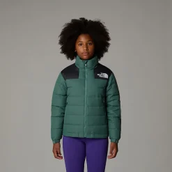 Discount The North Face Massif Dunjakke Til Unge DARK SAGE/TNF BLACK