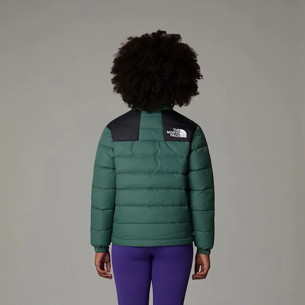 Discount The North Face Massif Dunjakke Til Unge DARK SAGE/TNF BLACK