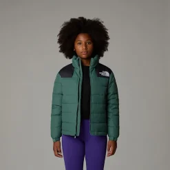 Discount The North Face Massif Dunjakke Til Unge DARK SAGE/TNF BLACK