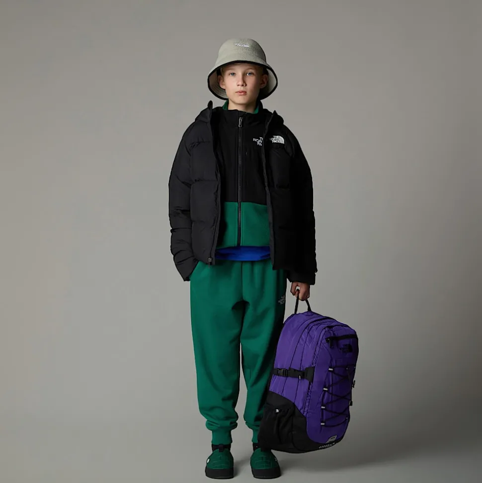 Shop The North Face North Dunjakke Med Hætte Til Drenge TNF Black