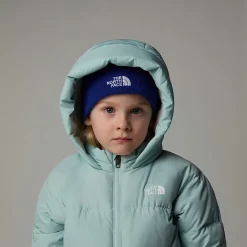 Store The North Face North Dunparka Med Fleeceforing Til Børn Muted Pine