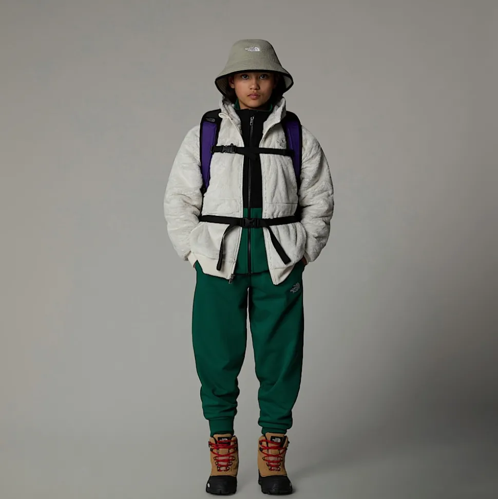Best Sale The North Face Osito Fleece Med Lynlås Og Hætte Til Piger White Dune