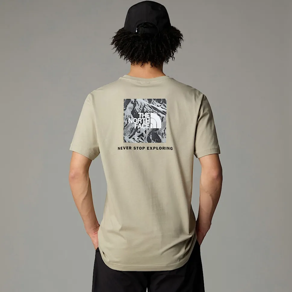 Fashion The North Face Redbox Graphic T-shirt Til Herrer Clay Grey-TNF Black 3D Summit Mesh Print
