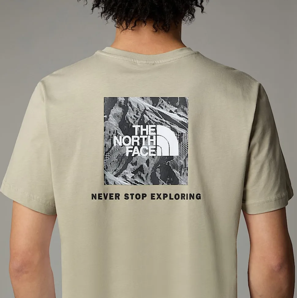Fashion The North Face Redbox Graphic T-shirt Til Herrer Clay Grey-TNF Black 3D Summit Mesh Print