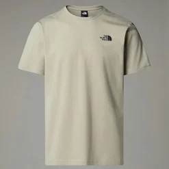 Fashion The North Face Redbox Graphic T-shirt Til Herrer Clay Grey-TNF Black 3D Summit Mesh Print