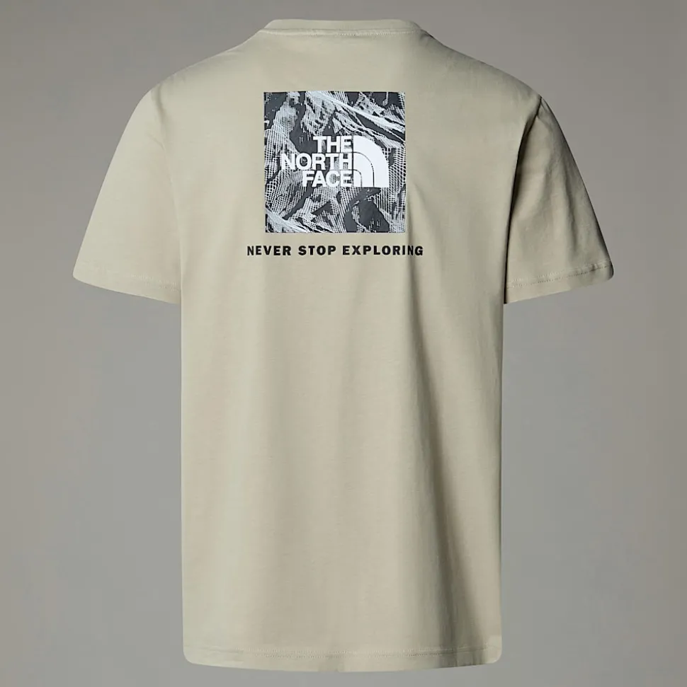 Fashion The North Face Redbox Graphic T-shirt Til Herrer Clay Grey-TNF Black 3D Summit Mesh Print