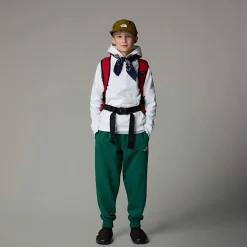 Store The North Face Redbox Hættetrøje Til Unge TNF White
