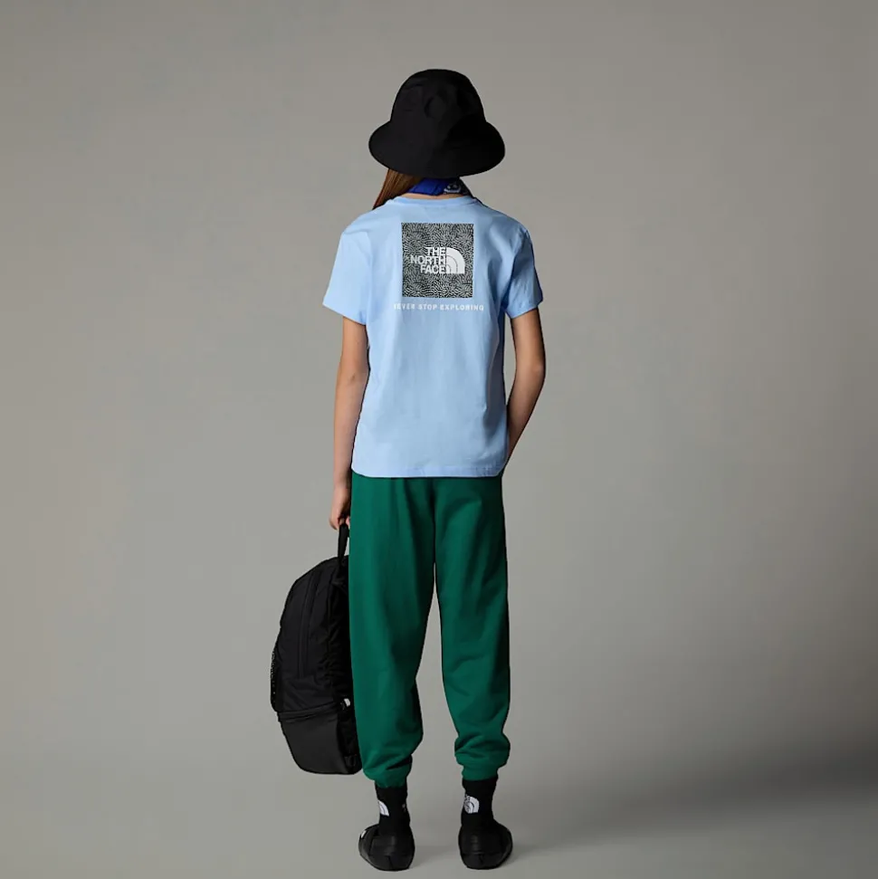 New The North Face Relaxed Redbox T-shirt Til Piger Cornflower
