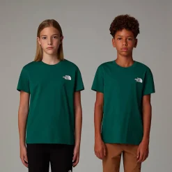 Online The North Face Simple Dome T-shirt Til Unge Evergreen