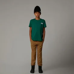 Online The North Face Simple Dome T-shirt Til Unge Evergreen
