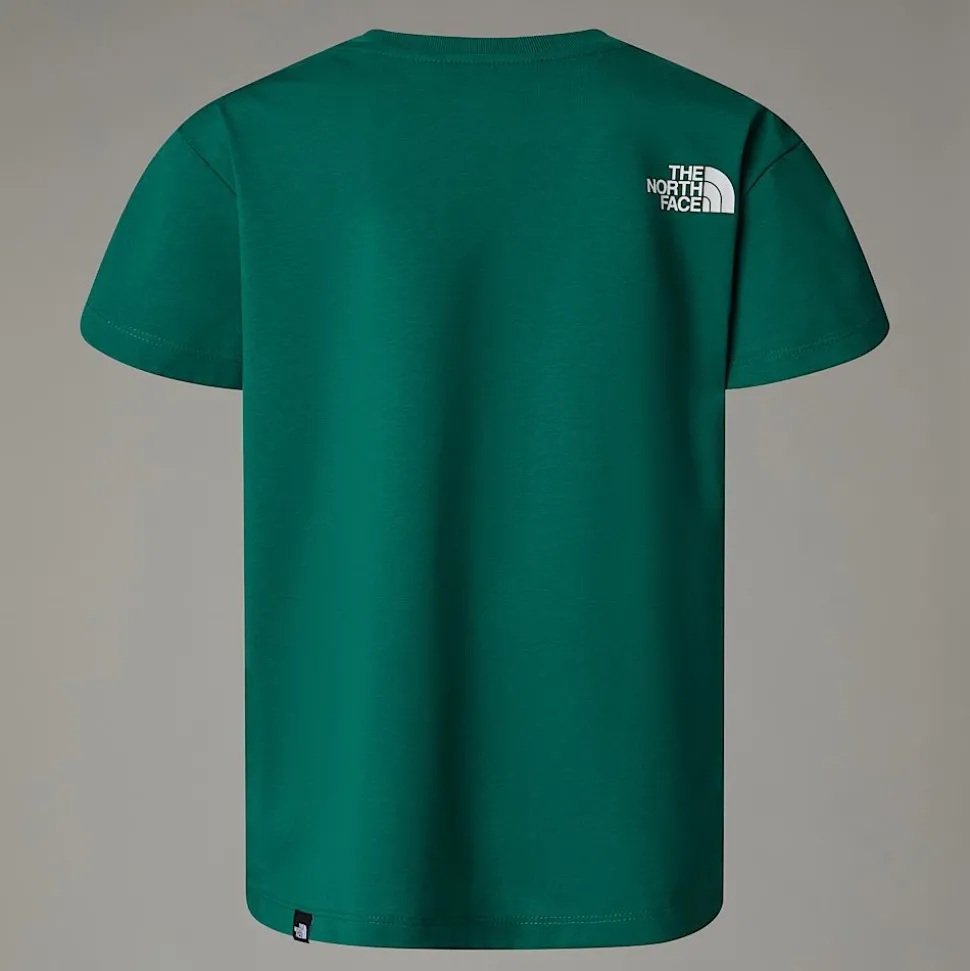 Online The North Face Simple Dome T-shirt Til Unge Evergreen