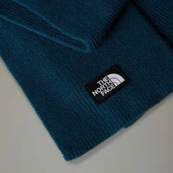 Cheap The North Face TNF Logo Box Halstørklæde Midnight Petrol