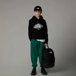 Discount The North Face Topographic Hættetrøje Til Drenge TNF Black